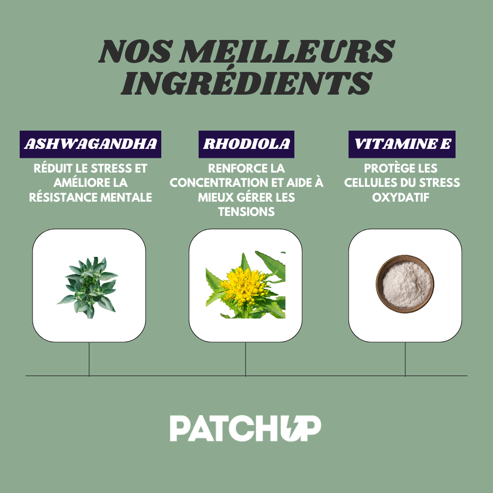 [PRÉCOMMANDE] Zen Patch Up